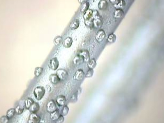 Diamantdraht-Säge elektroplattiert